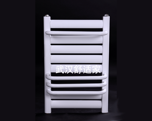 衛(wèi)生間暖氣片-背婁