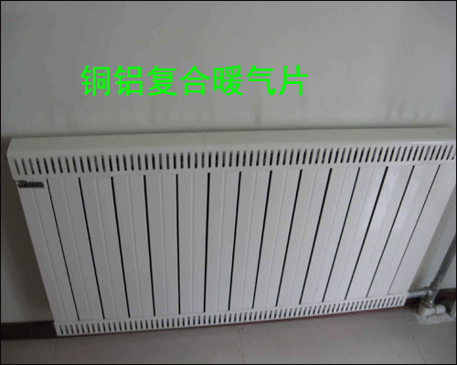 �~�X��(f��)��ů��Ƭ