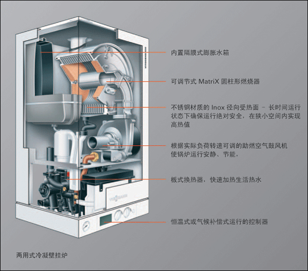 ��˹�������t