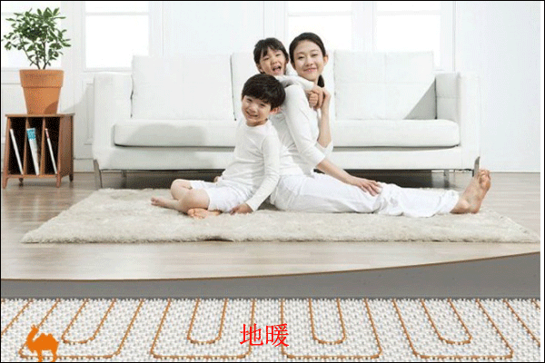 ��ů���bЧ���D