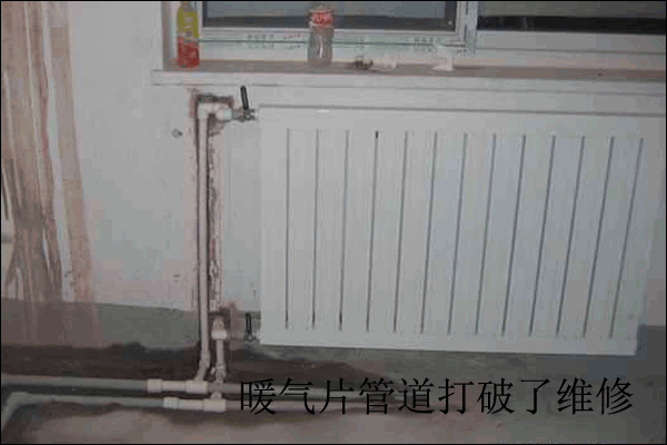 ��hů��Ƭ�S��