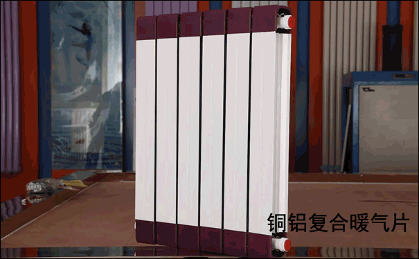 �~�X��(f��)��ů��Ƭ