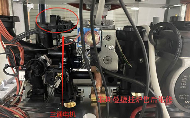 ��˹���ڒ�t�S��