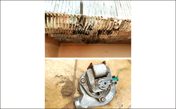 �ڒ�t��ϴ���B(y��ng)