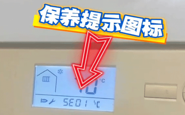 ��˹���ڒ�t�S��