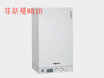 ��h��˹��WB1B�����t